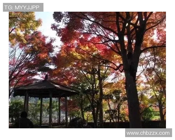 鸟栖砂岩与长崎的自然风光与文化魅力深度对比探讨